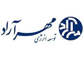 فرهاد شکوهی نژاد مشاوره توسعه کسب و کار توسعه ساختار هلدینگی